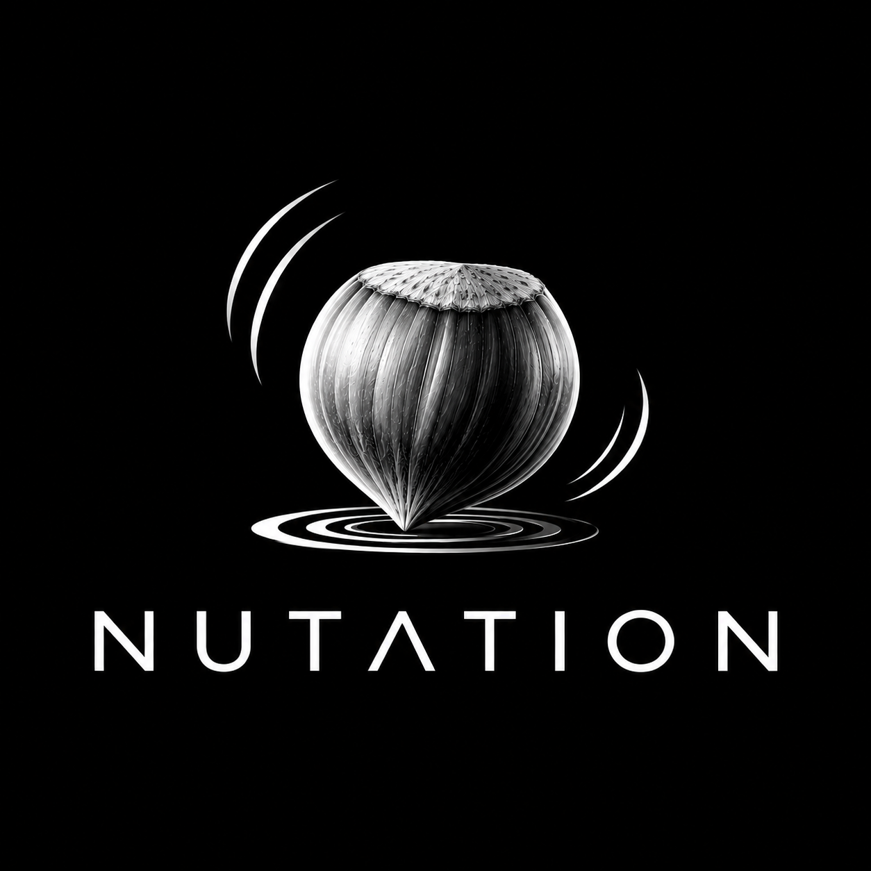 Nutation